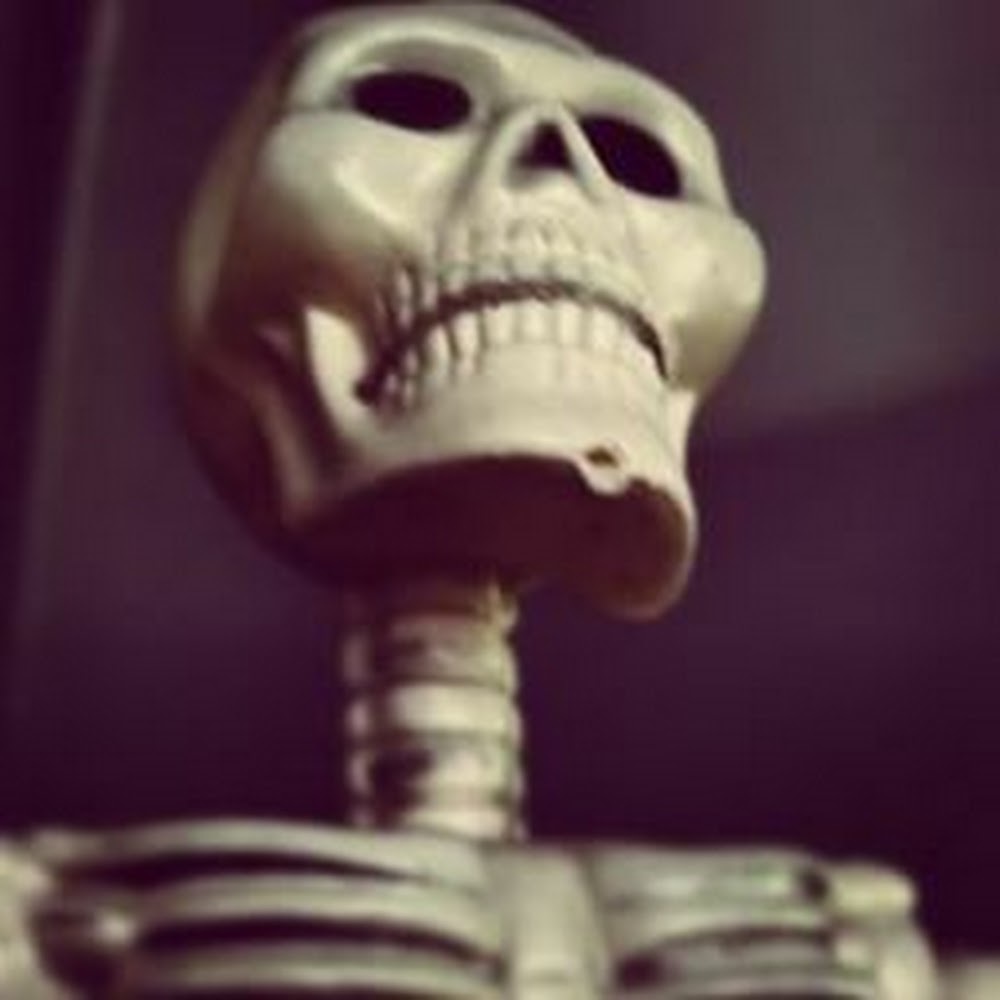 Meet your Posher, Silvia